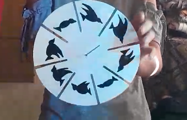 Animation Device